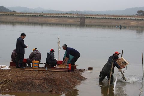 春回大地，漁業(yè)管理要跟上！柴油發(fā)電機(jī)組也該上場(chǎng)了