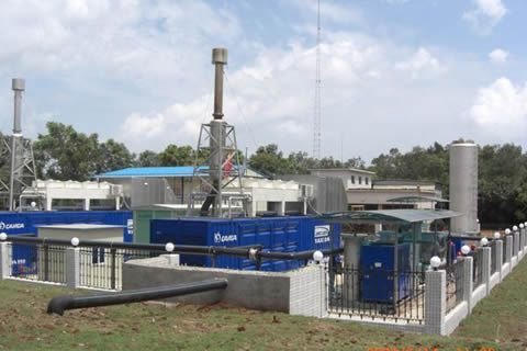 華全動力：沼氣發(fā)電迎機遇!中國養(yǎng)豬業(yè)涌進東北