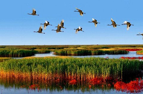 華全發電機：真接地氣！大濰坊又攢了個全省第一