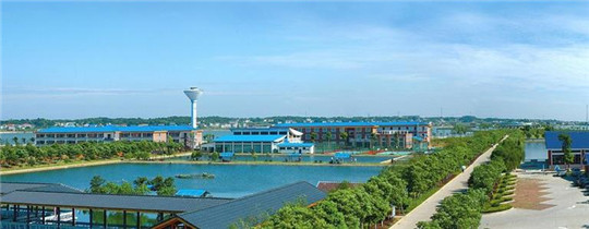 專業巡檢，熱心服務!華全發電機組助力養殖企業溫暖過冬!