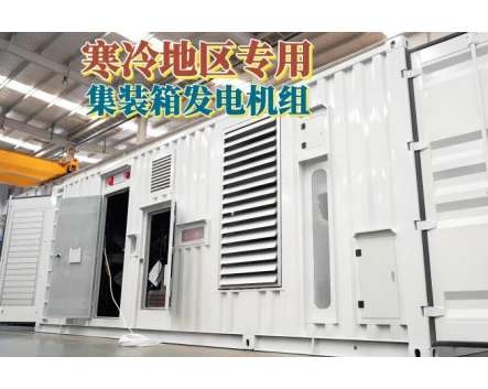 俄羅斯客戶訂單！寒冷地區，用發電機組，集裝箱式發電站